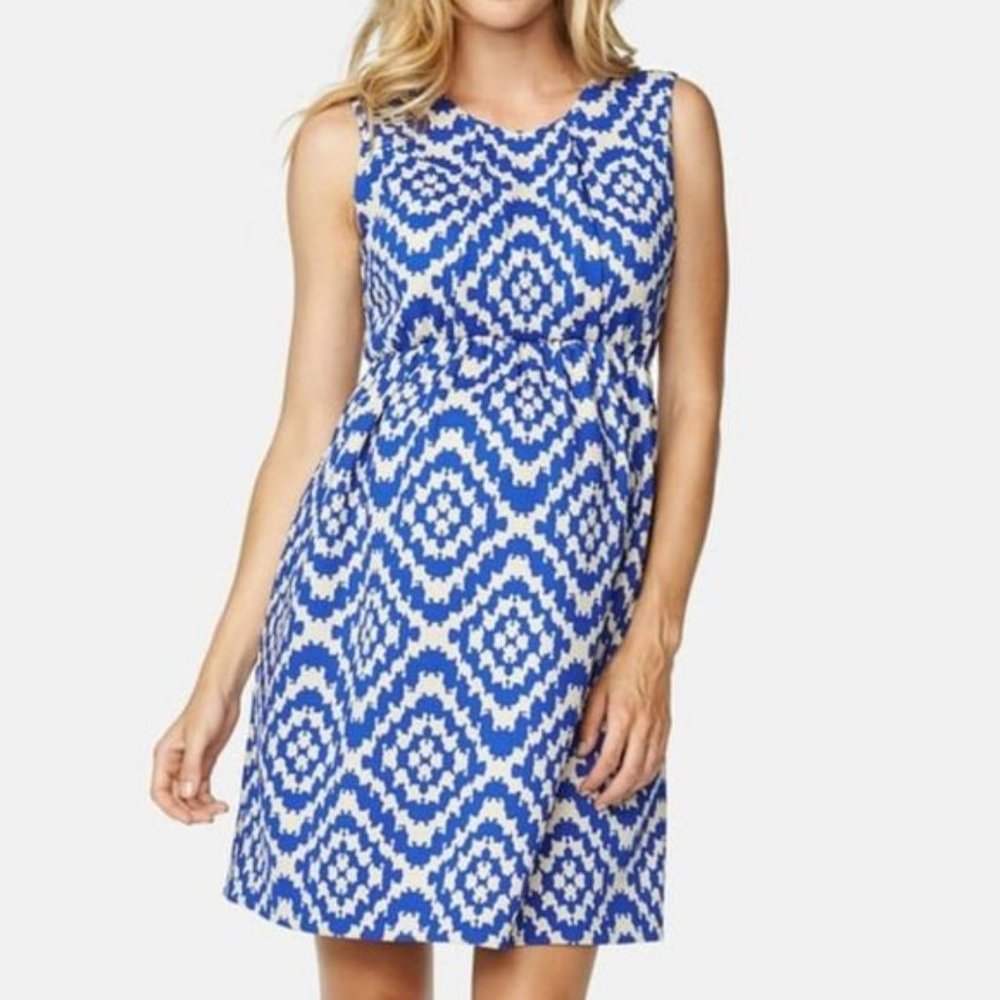 Maternal America Ikat Sleeveless Fit & Flare Dress